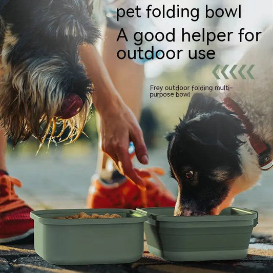 sustainable pet care kit