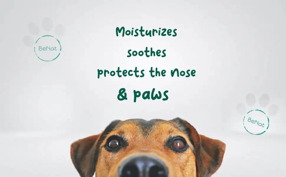 All-Natural Dog Paw & Snout Balm