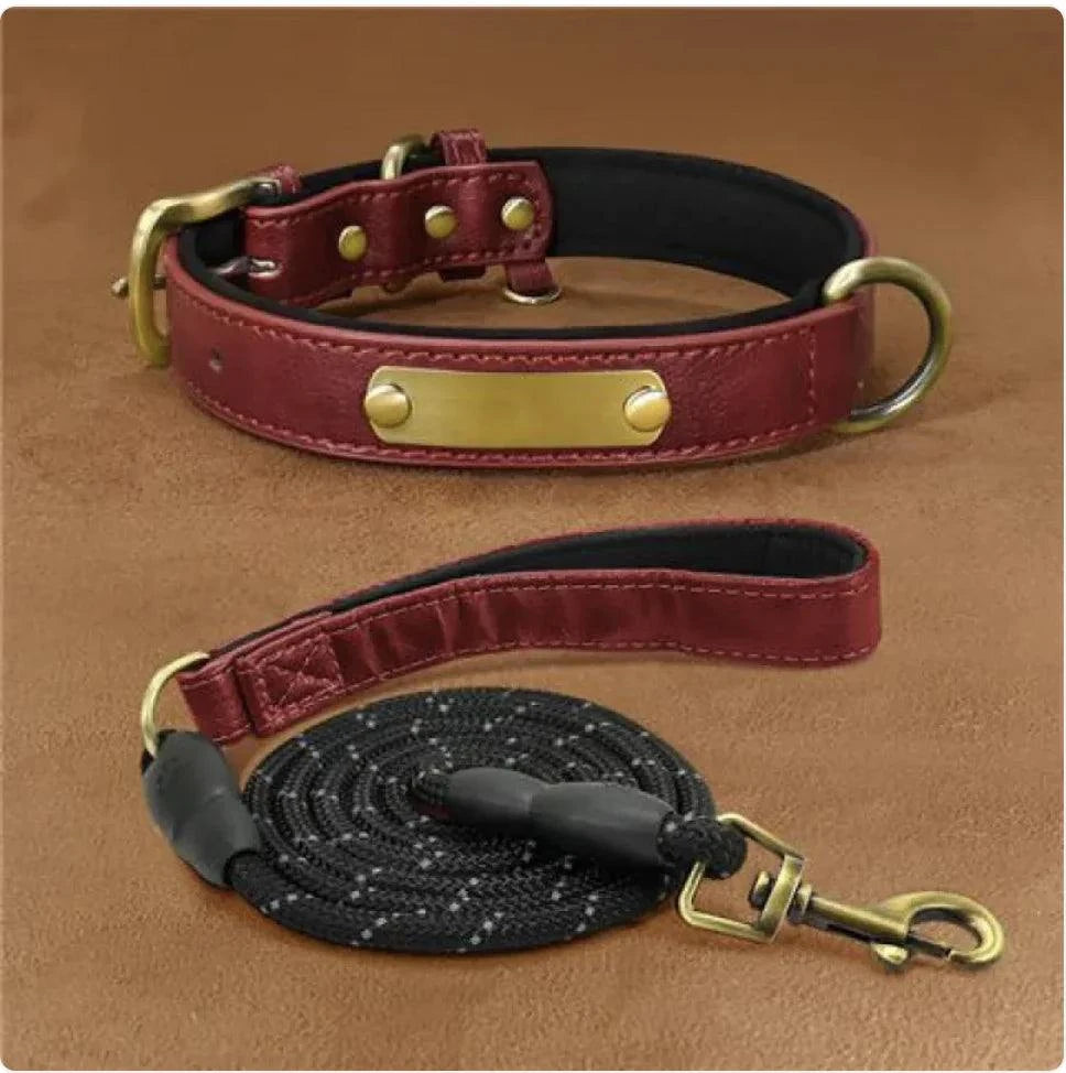 Ultra-Fiber Comfort Pet Collar – Stylish, Durable, and Lightweight Ultra-Fiber Comfort Pet Collar – Stylish, Durable, and Lightweight