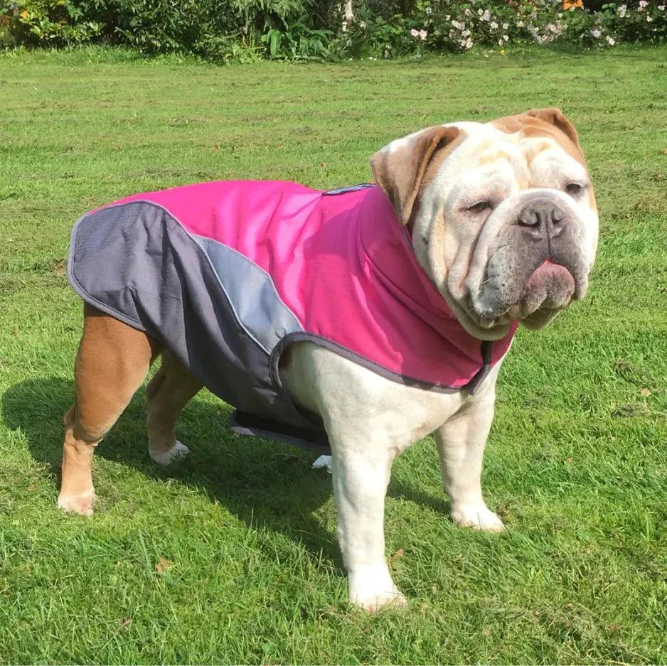 Waterproof Outdoor Pet Raincoat and Insulated Jacket Waterproof Outdoor Pet Raincoat and Insulated Jacket