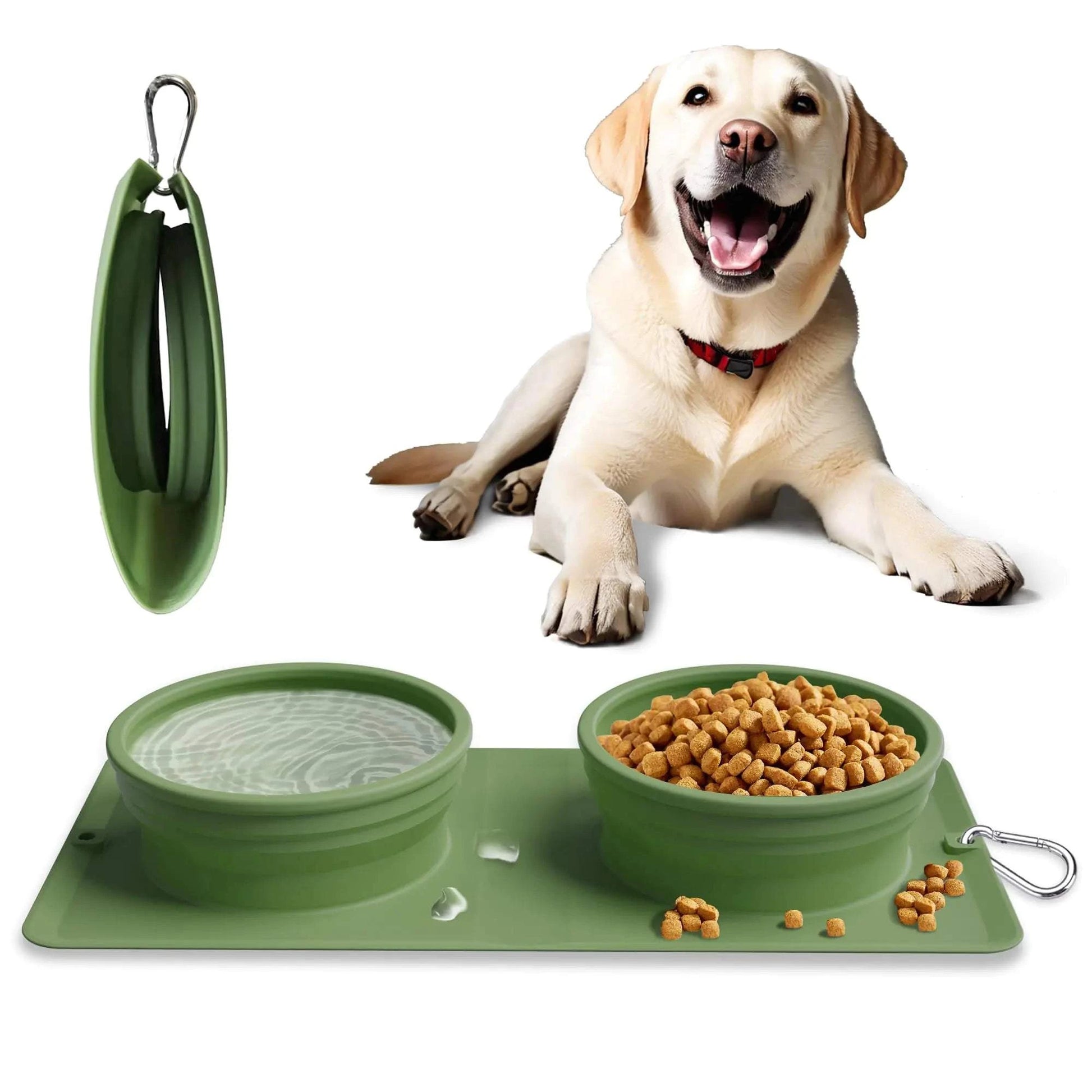 All-in-One Dog Travel Bag