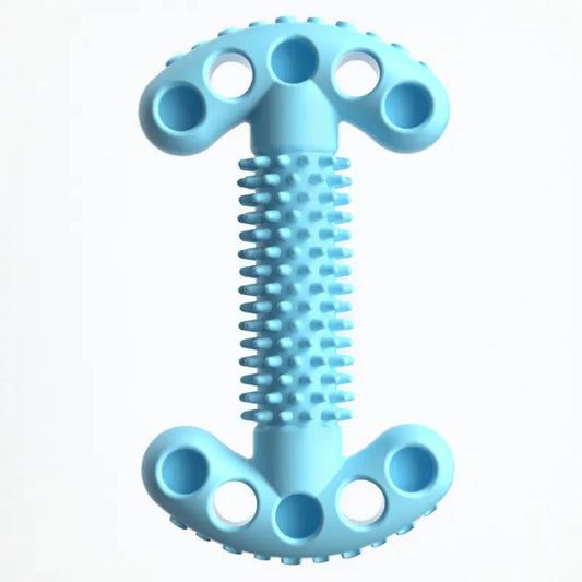 Blue TPR dog chewing bone shape toy with textured surface for dental health and chewing fun
