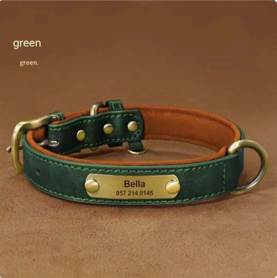 Ultra-Fiber Comfort Pet Collar – Stylish, Durable, and Lightweight Ultra-Fiber Comfort Pet Collar – Stylish, Durable, and Lightweight