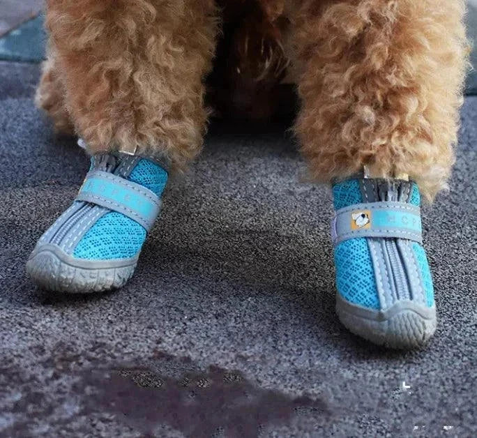 Protective Pet Shoes – Comfortable, Lightweight & Stylish Paw Wear Protective Pet Shoes – Comfortable, Lightweight & Stylish Paw Wear