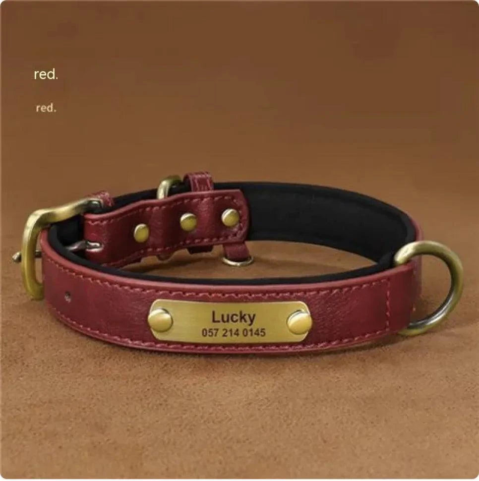 Ultra-Fiber Comfort Pet Collar – Stylish, Durable, and Lightweight Ultra-Fiber Comfort Pet Collar – Stylish, Durable, and Lightweight