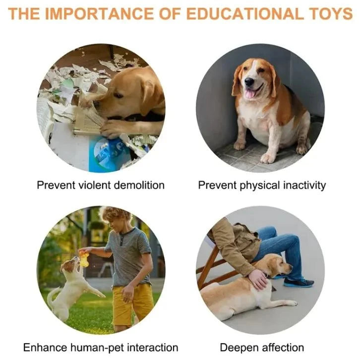 Interactive Pet Communication Button – Recordable Talking Button for Dogs & Cats