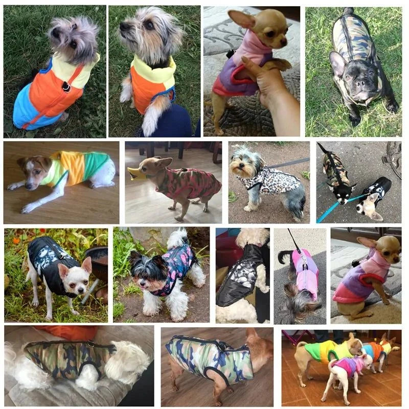 Warm Waterproof Winter Dog Vest – Stylish & Functional Cold Weather Pet Clothing