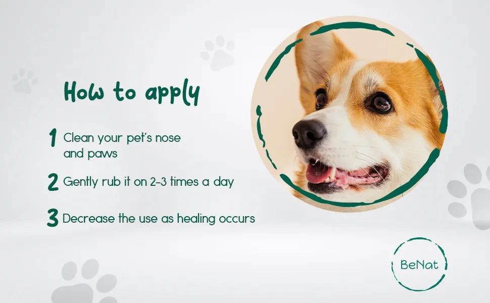 All-Natural Dog Paw & Snout Balm