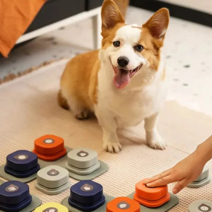 Interactive Pet Communication Button – Recordable Talking Button for Dogs & Cats