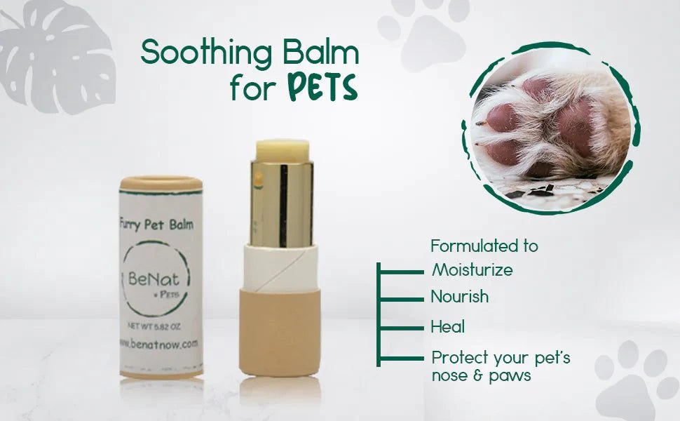 All-Natural Dog Paw & Snout Balm