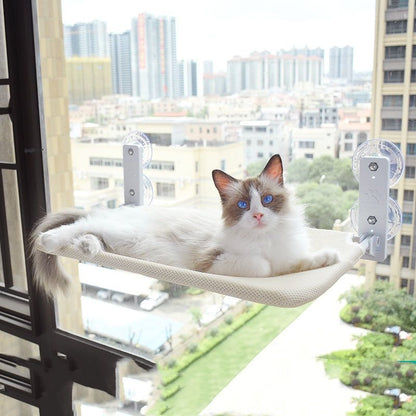 Cat with blue eyes lounging on plush beige cat window hammock attached to glass window with suction cups in apartment setting