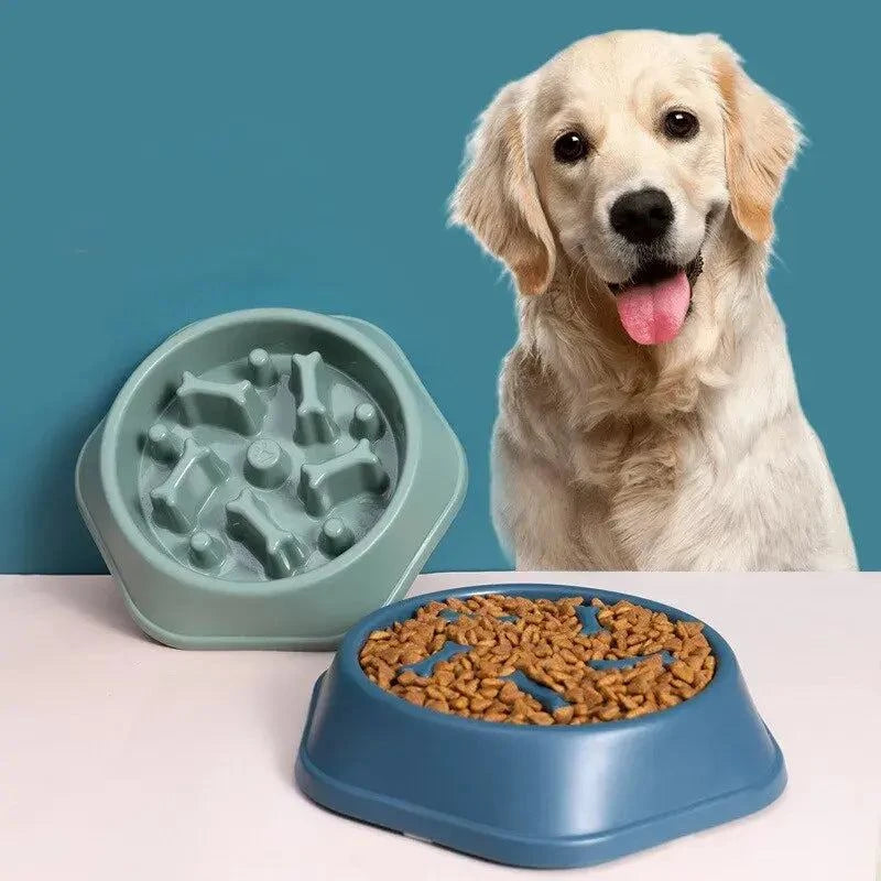Slow Feeder Pet Bowl – Anti-Gulp Design for Healthier Eating & Digestion