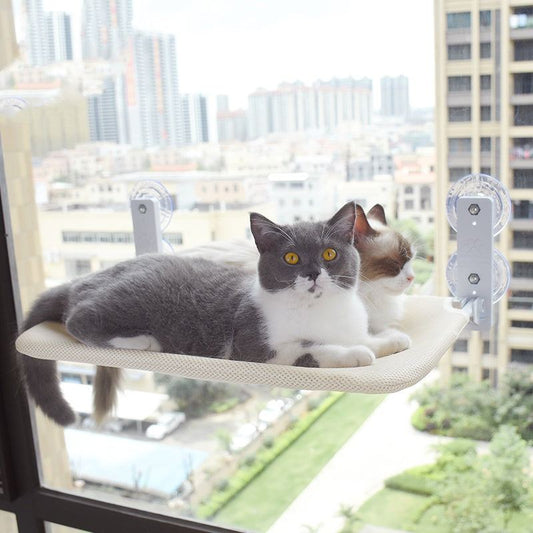 Two cats resting on a beige cat window hammock attached to a glass window with suction cups overlooking a city view