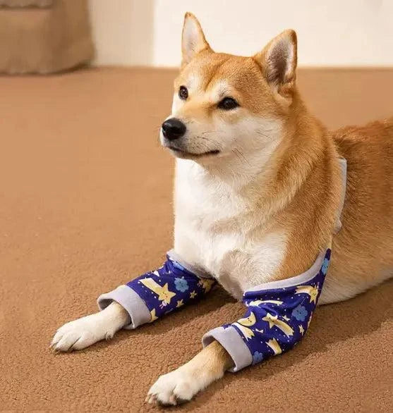 Dog Knee Brace Support Pad – Adjustable Joint Protector for Injury Recovery & Mobility