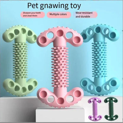 Colorful TPR dog chewing bone shape toys with textured surface for dental health and durable play
