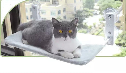 Gray and white cat lounging on plush cat window hammock attached with suction cups to a window overlooking cityscape