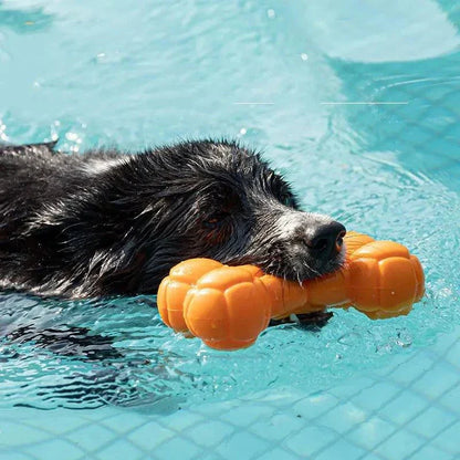 Black dog swimming in pool with orange floating water-resistant pet toy in mouth