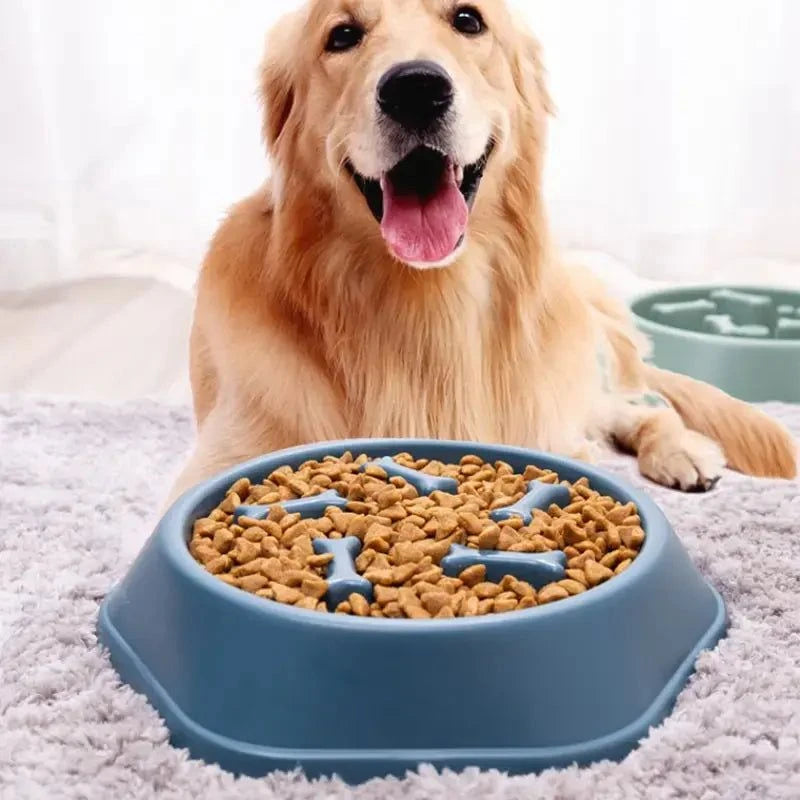 Slow Feeder Pet Bowl – Anti-Gulp Design for Healthier Eating & Digestion