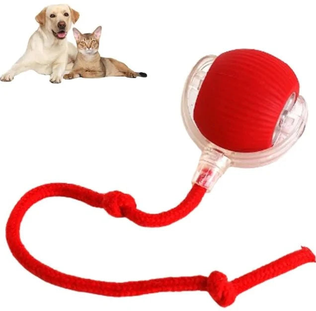 Upgraded Interactive Rolling Dog Ball - Self-Moving Automatic Cat Toy