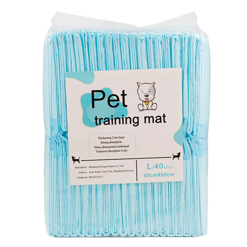 PetCare absorbent puppy training pads pack with leak-proof, ultra-absorbent disposable pet diaper pads for easy potty training and senior pet care, size L 60x60cm.
