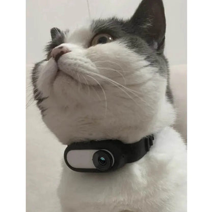 Wireless Pet Collar Camera