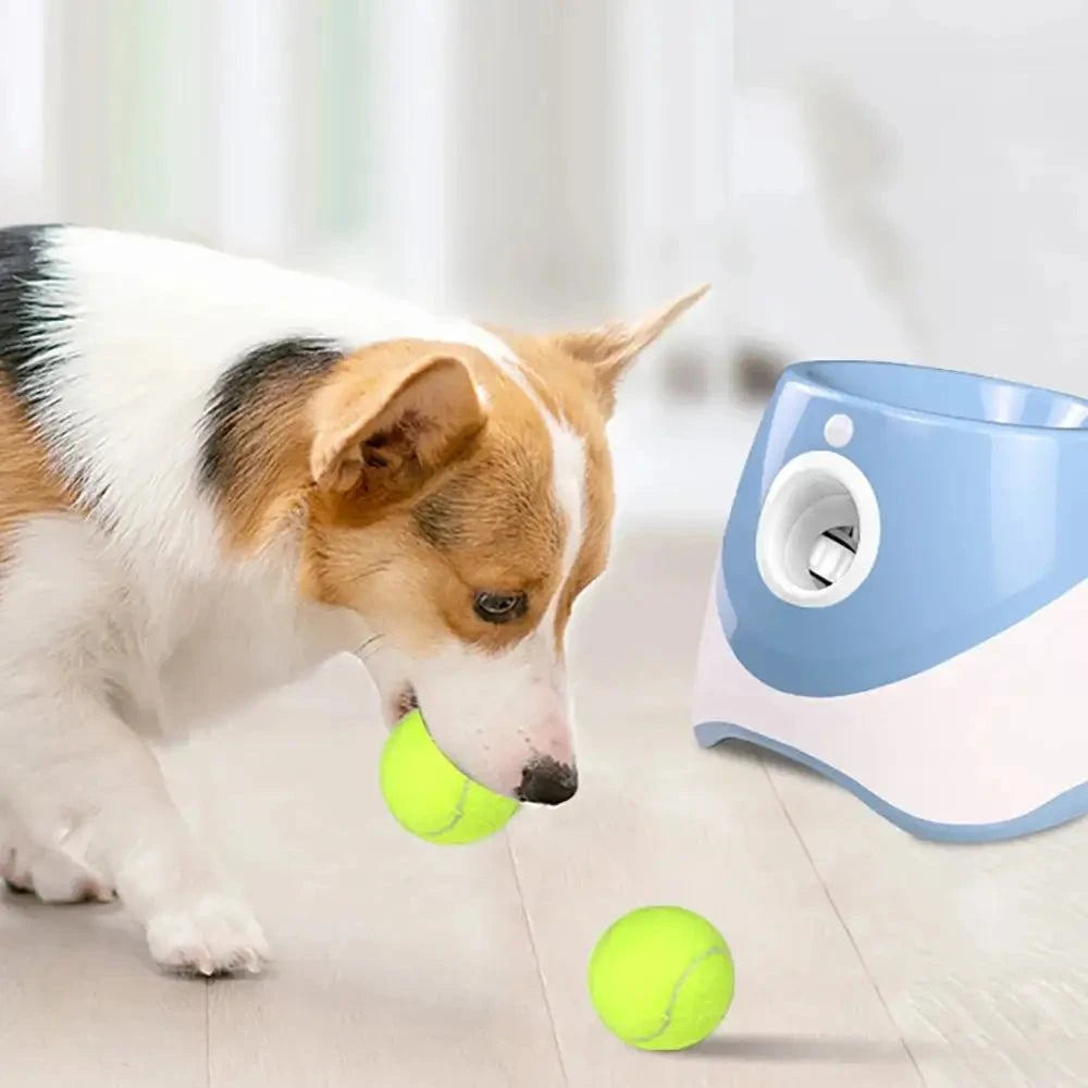 Automatic Tennis Ball Launcher – Solo Practice & Dog Fetch Trainer (Includes 3 Balls)