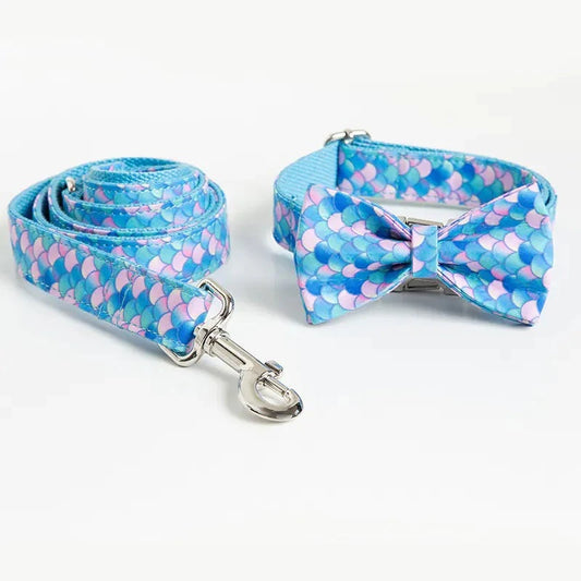 Personalized Dog Collar with Custom Lettering Design