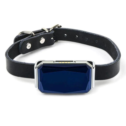 Smart GPS Pet Tracker Collar – Real-Time Location, Waterproof & Adventure-Ready
