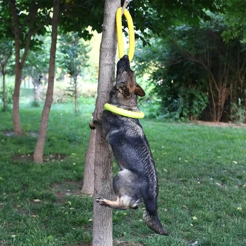 EVA Dog Pull Ring Toy - Durable Training Ring for Large &amp; Small Dogs