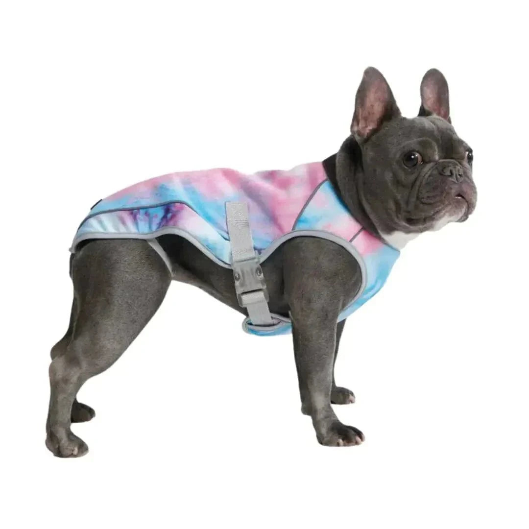 Dog Cooling Products
