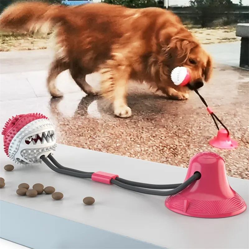 Suction Ball Interactive Dog Toy – Stick & Play Tether Ball for Active Dogs