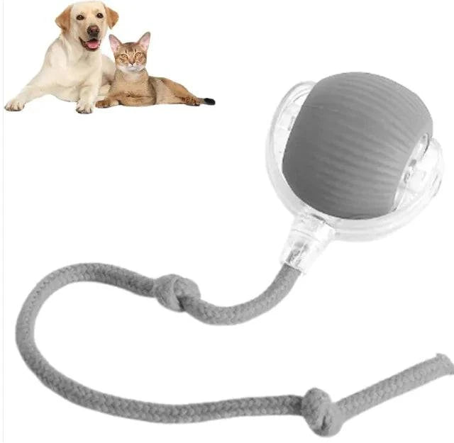 Smart Rolling Ball For Dogs