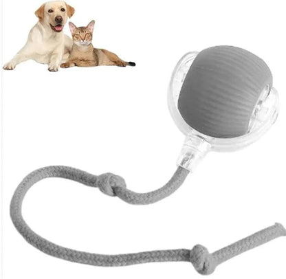 Smart Rolling Ball For Dogs