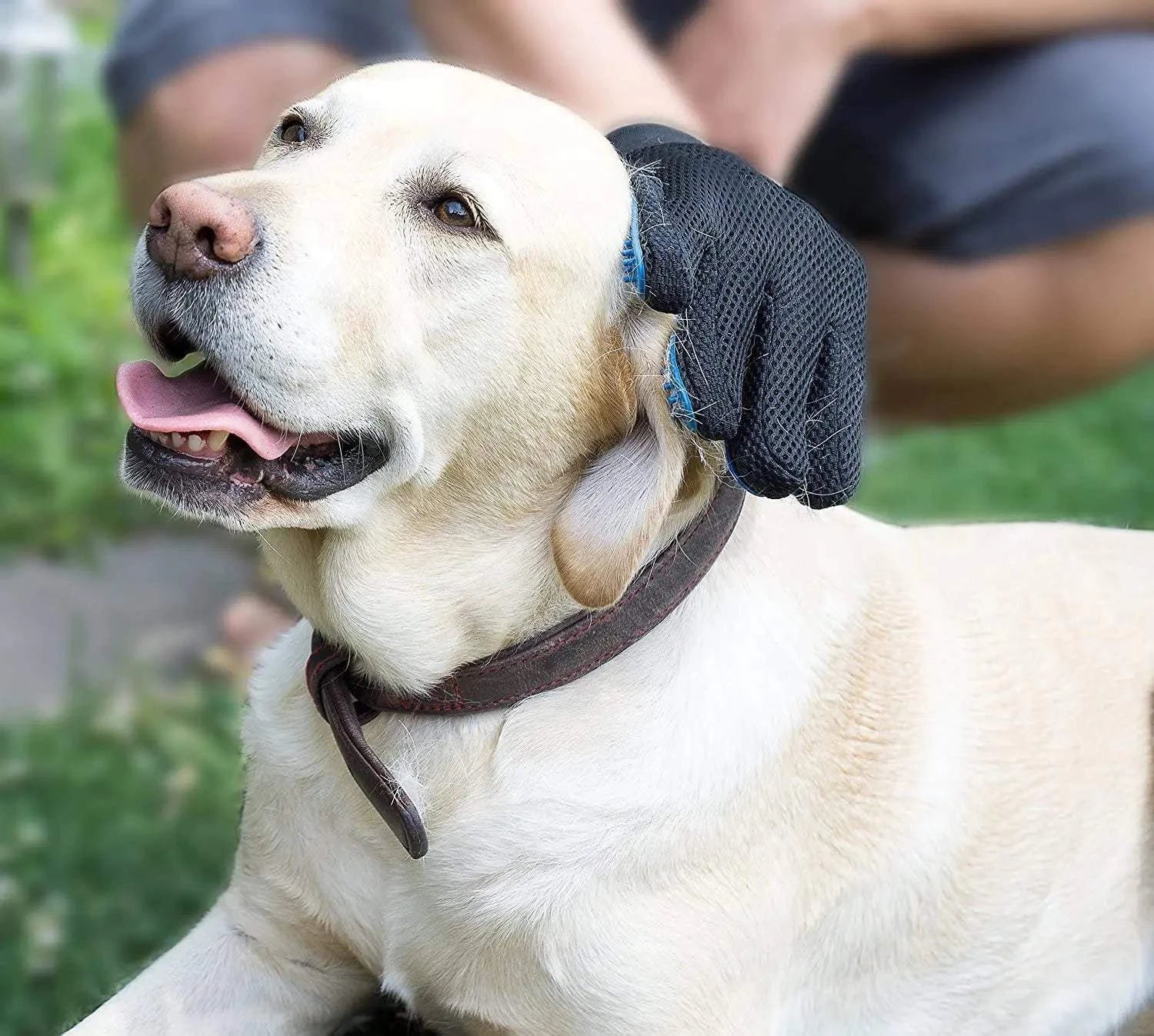 PetShine Anti-Hair Grooming Glove