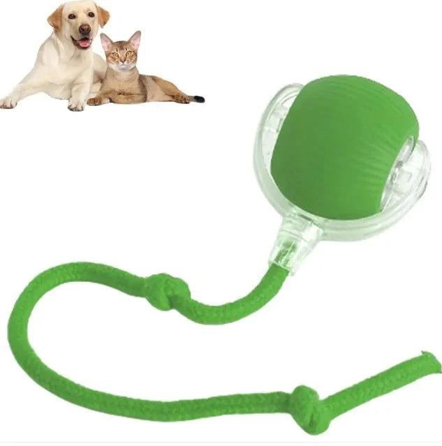 Upgraded Interactive Rolling Dog Ball - Self-Moving Automatic Cat Toy