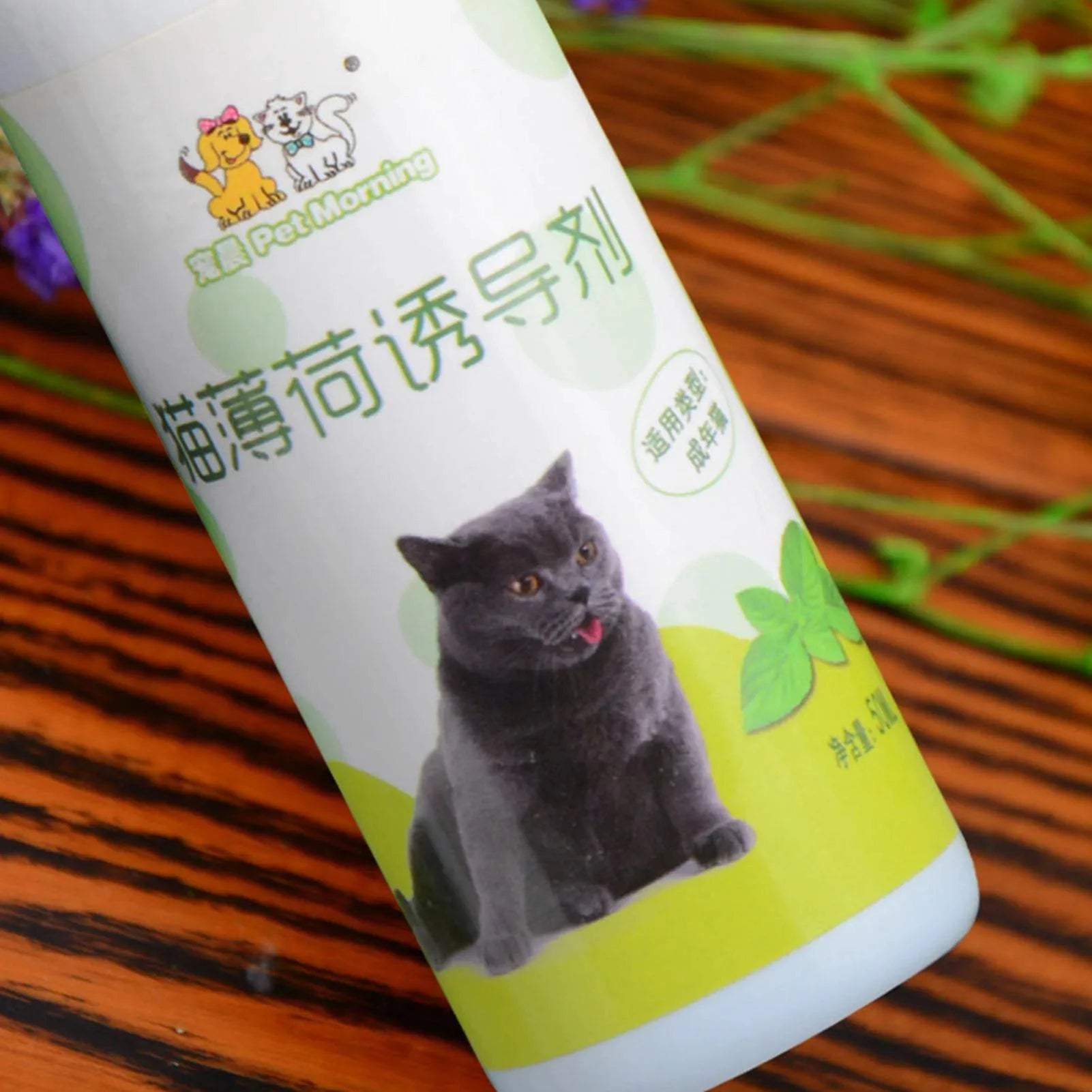 Catnip Spray for Cats – Natural Cat Attractant for Play & Training (50ml)