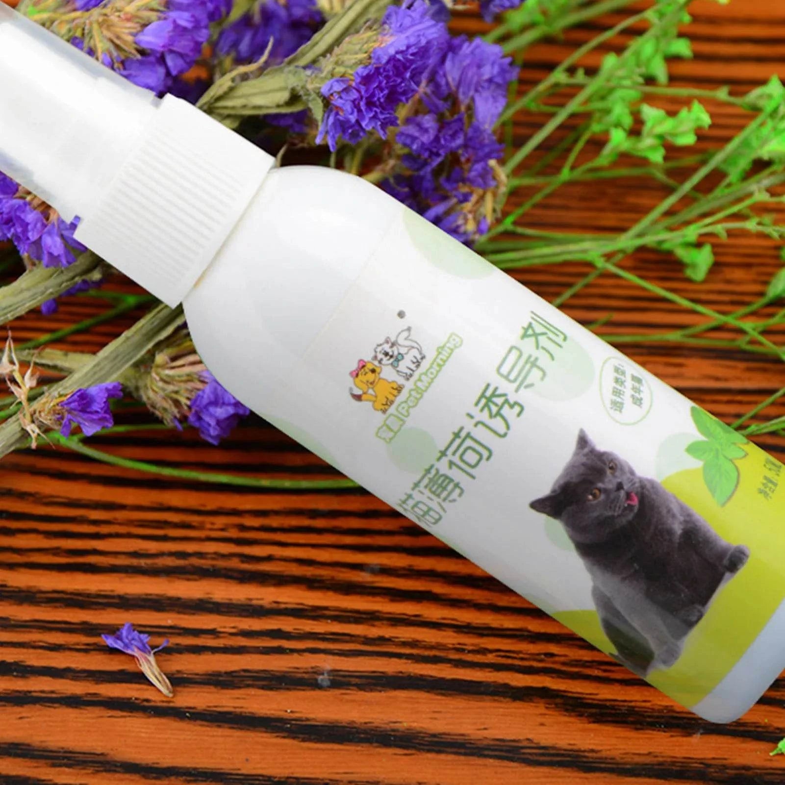 Catnip Spray for Cats – Natural Cat Attractant for Play & Training (50ml)