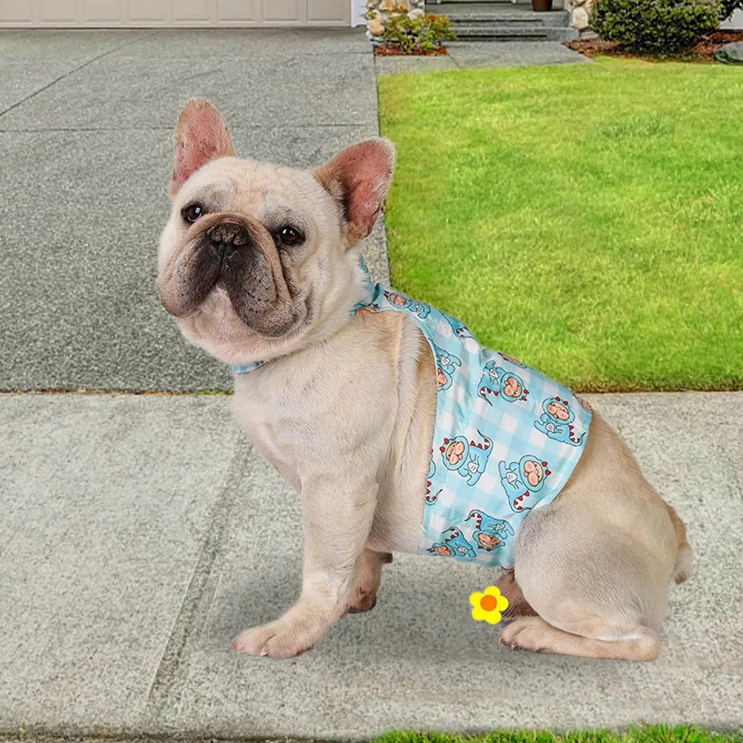 Dog Cooling Products