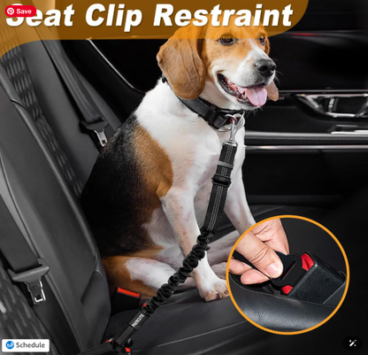 Pet Travel Essentials Kit – All-in-One On-the-Go Pet Bundle