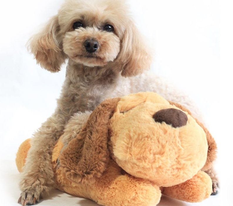 Small dog cuddling with a brown plush Heartbeat Box Pet anxiety sleep toy shaped like a dog for calming comfort and better sleep
