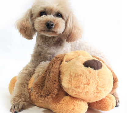 Small dog cuddling with a brown plush Heartbeat Box Pet anxiety sleep toy shaped like a dog for calming comfort and better sleep