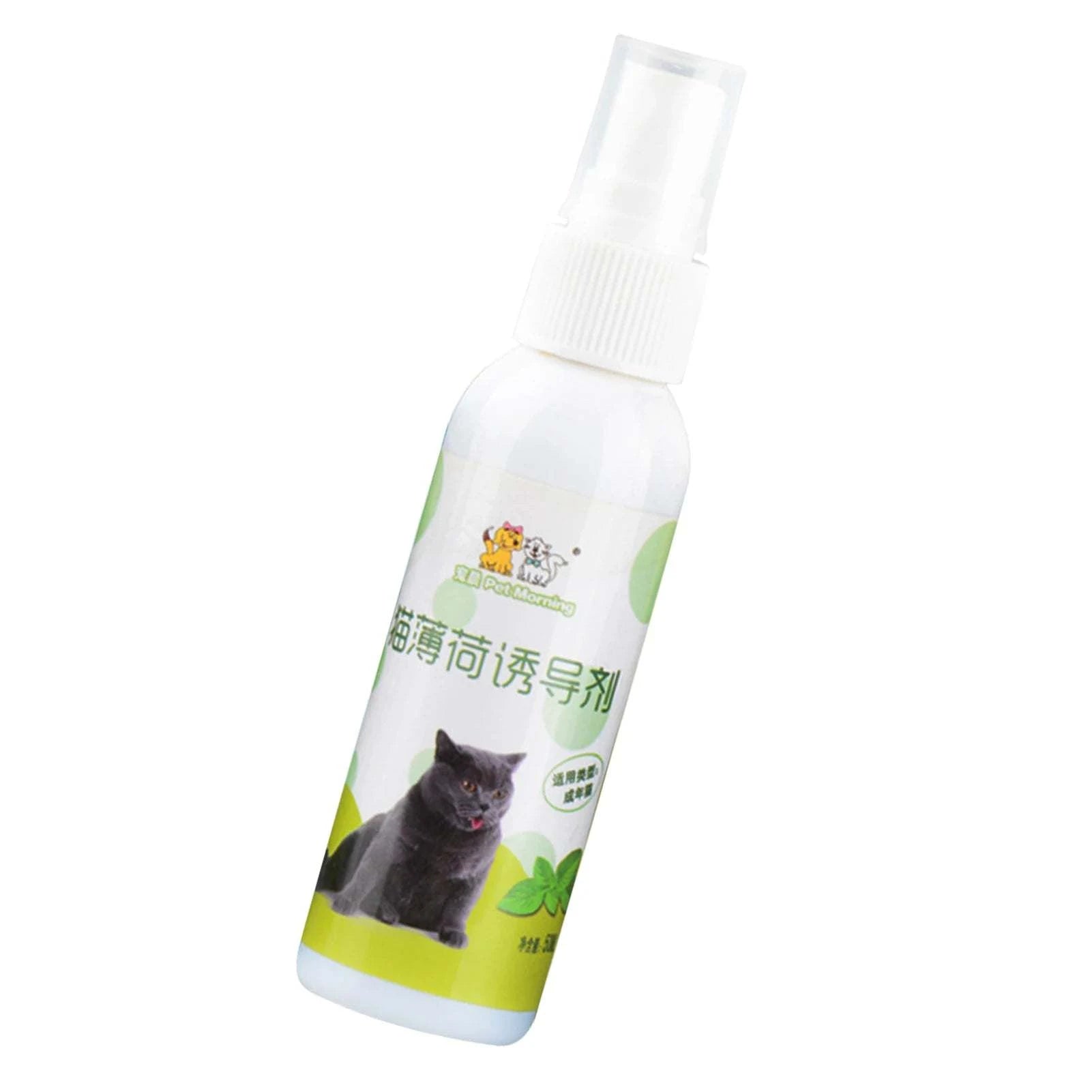 Catnip Spray for Cats – Natural Cat Attractant for Play & Training (50ml)