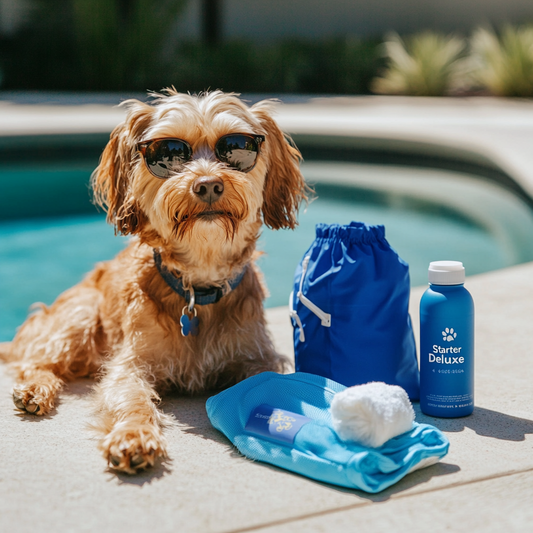 Summer Pet Safety Bundle - Complete Hot Weather Protection Kit