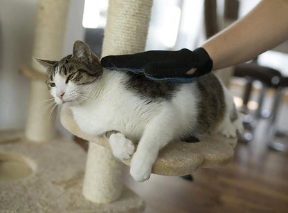 Pet Grooming Glove