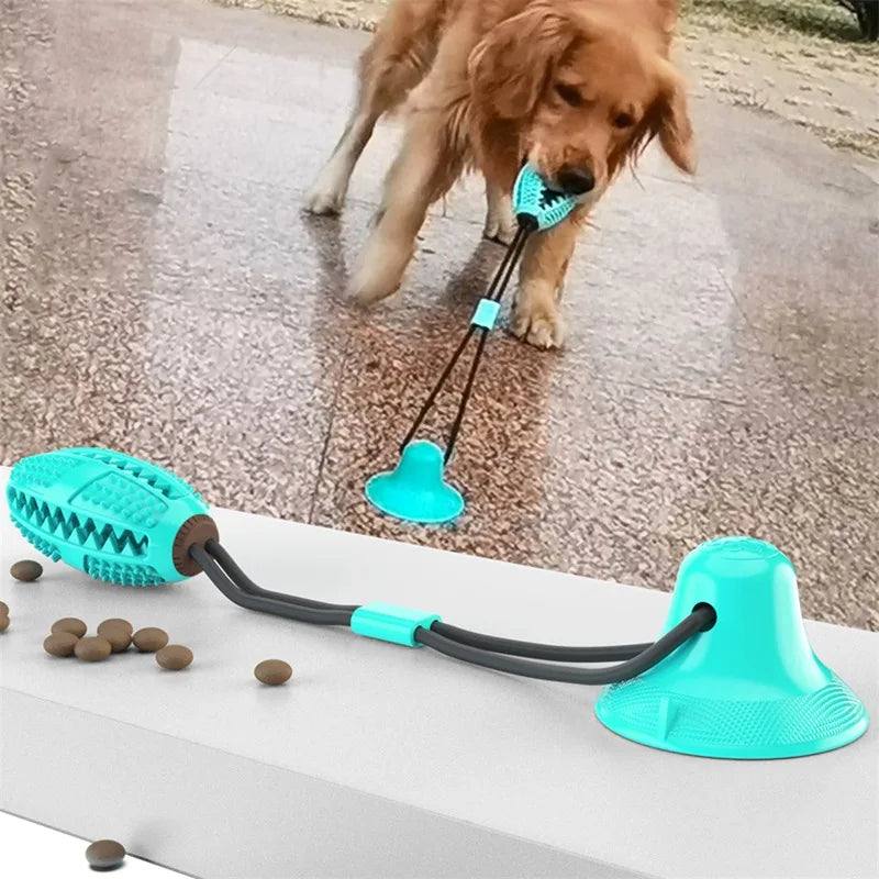 Suction Ball Interactive Dog Toy – Stick & Play Tether Ball for Active Dogs