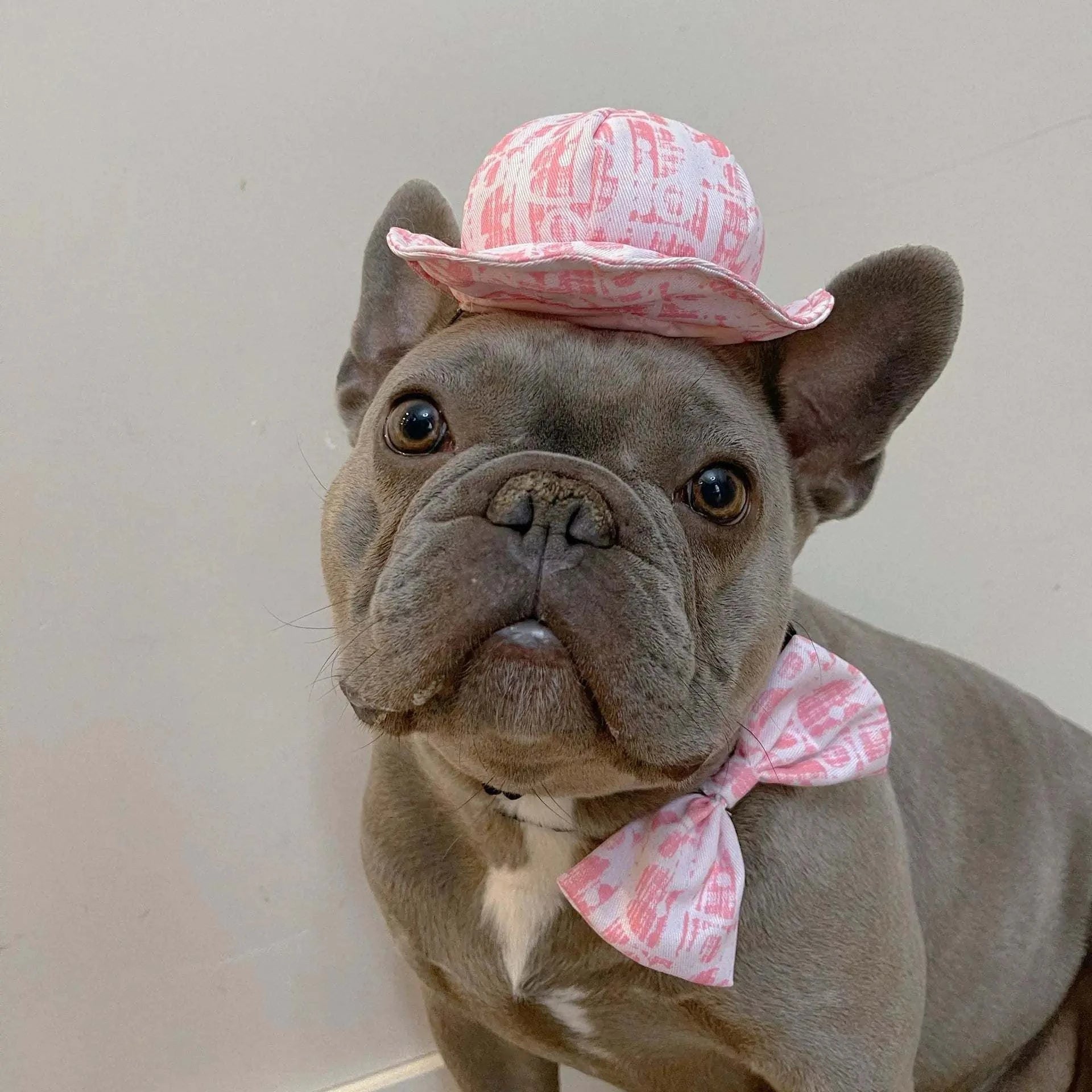 Dog Cowboy Hat & Bandana Costume – Cute Western Pet Outfit for Travel, Parties & Photoshoots