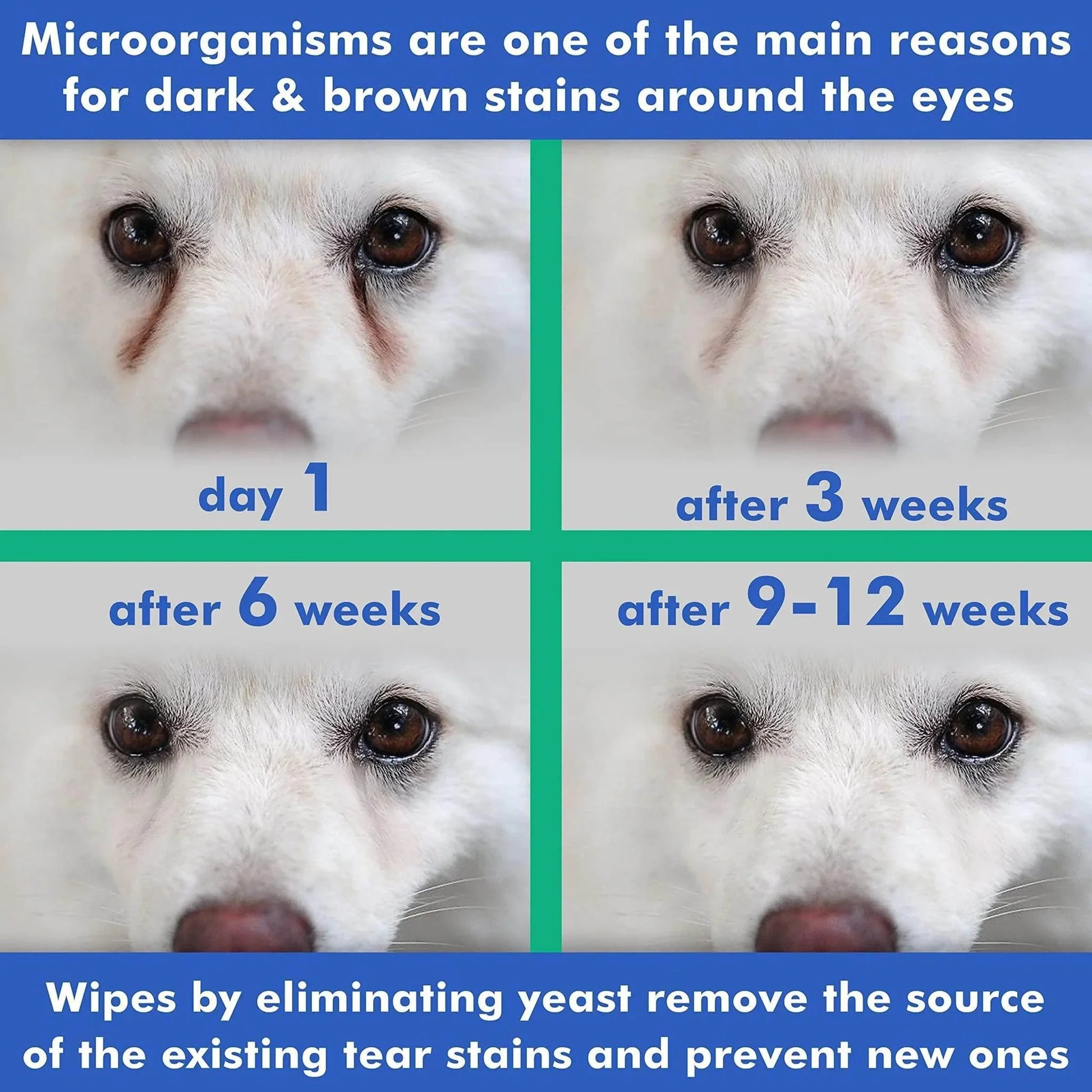 Pet Eye Wipes for Dogs &amp; Cats - Tear Stain Prevention &amp; Eye Cleaning