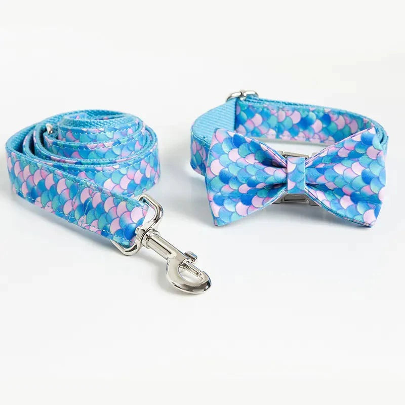 Personalized Dog Collar with Custom Lettering Design