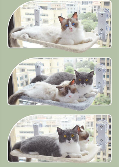 Cat window hammock with plush fabric and suction cups mounted on a window holding one or two cats enjoying sunlit view