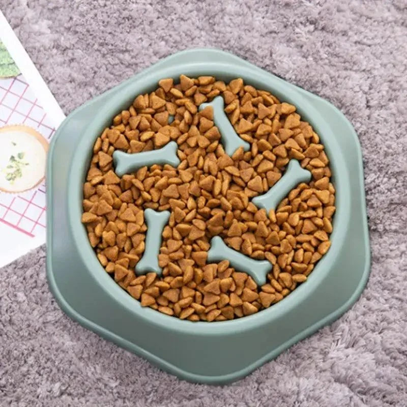 Slow Feeder Pet Bowl – Anti-Gulp Design for Healthier Eating & Digestion